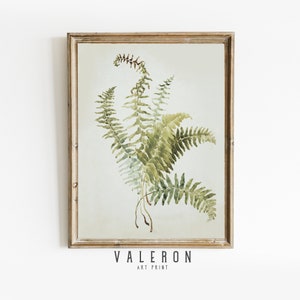 Vintage Fern Botanical Art Print | Antique Nature Illustration | Printable Fern Wall Art | Home Décor Greenery #156