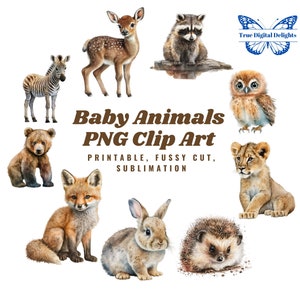 Cute Watercolor Baby Animals PNG Bundle. Woodland Forest, African Baby Animals Clipart. Printable for Fussy Cut, Junk Journal/Commercial Use