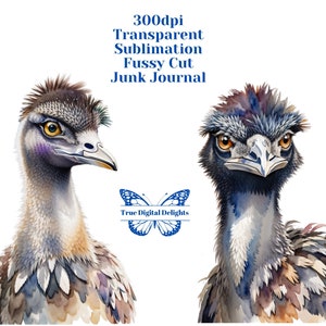 Acuarela Emu imprimible PNG Clipart. Imágenes de aves australianas exóticas para sublimación, corte quisquilloso, diario basura, uso comercial.
