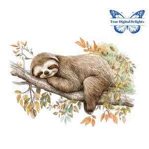 Cute Watercolor Sleeping Sloth in Tree Clipart, Baby Sloth PNG. Baby Shower & Nursery Decor, Junk Journal, Fussy Cut, Commercial Use.