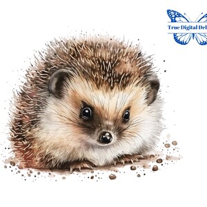 Cute Watercolor Baby Hedgehog PNG. Baby Shower/Nursery Decor. Woodland Forest Baby Animals Clipart. Kid’s/Toddler Birthday, Animal Lover PNG