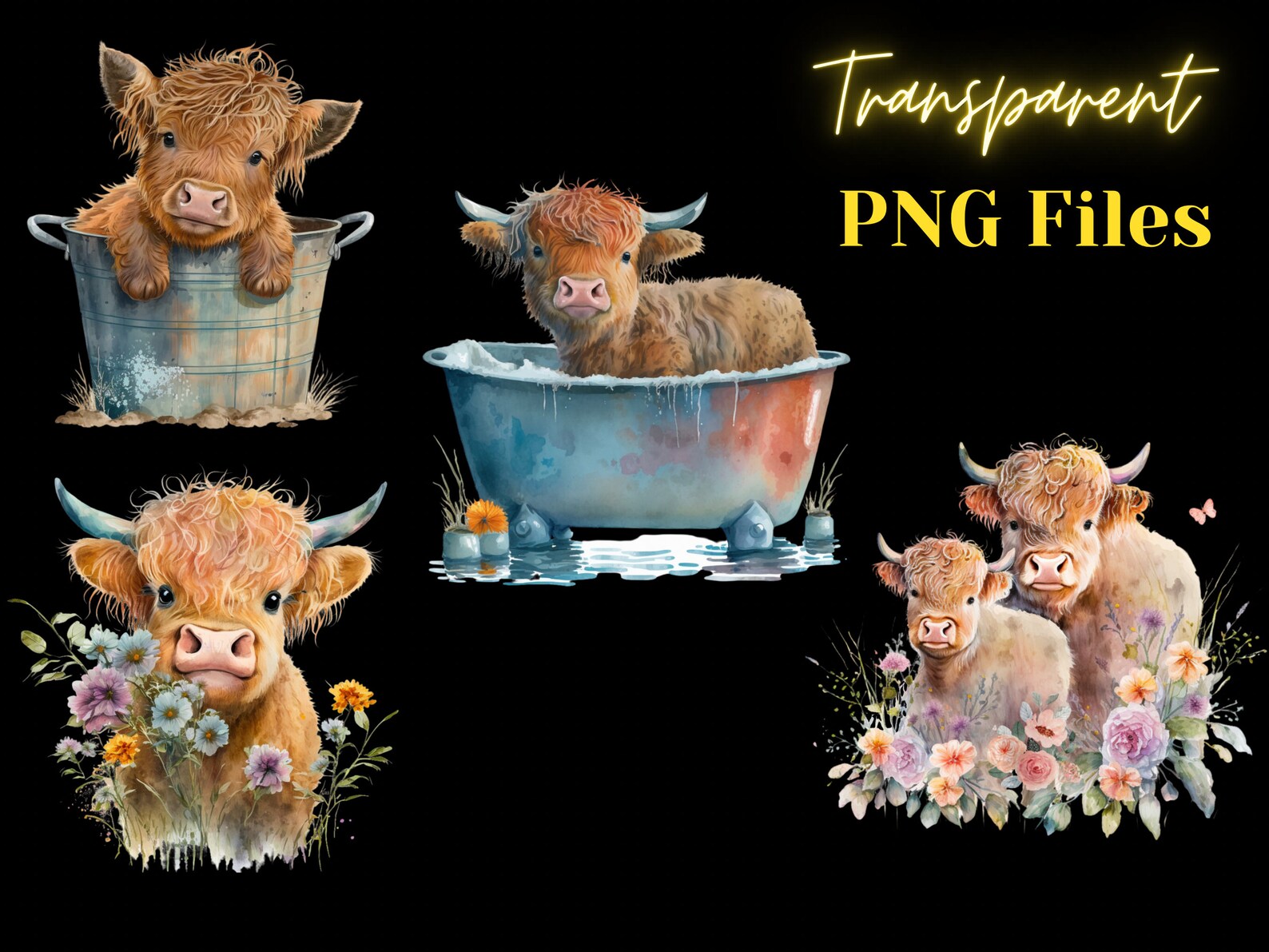 12 Cute Highland Cow PNG Clip Art, Baby Highland Heifer, Baby Shower ...