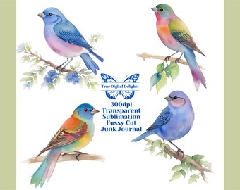 Watercolor Indigo & Painted Bunting Printable PNG Clipart. Exotic, Colorful Bird Images. Sublimation/Fussy Cut/Junk Journal. Commercial Use.