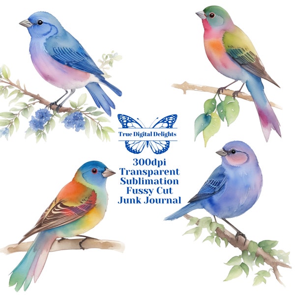 Watercolor Indigo & Painted Bunting Printable PNG Clipart. Exotic, Colorful Bird Images. Sublimation/Fussy Cut/Junk Journal. Commercial Use.