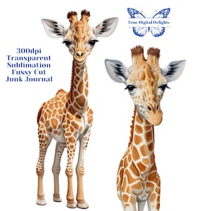 Cute Watercolor Giraffes, Printable PNG Clipart. Exotic, African Animal Images. Sublimation/ Fussy Cut/Junk Journal. Commercial Use.