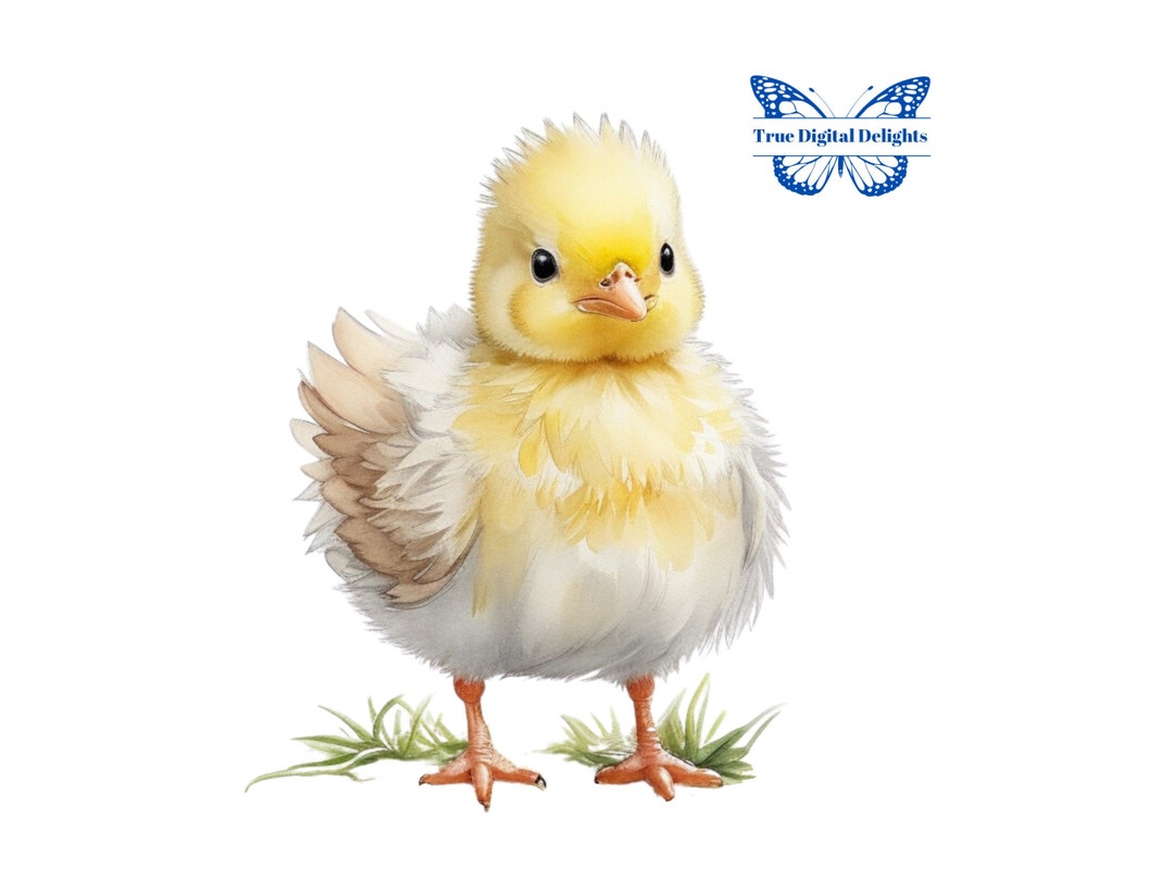Cute Watercolor Baby Chick PNG. Chicken Lover, Farm Animals Clipart ...
