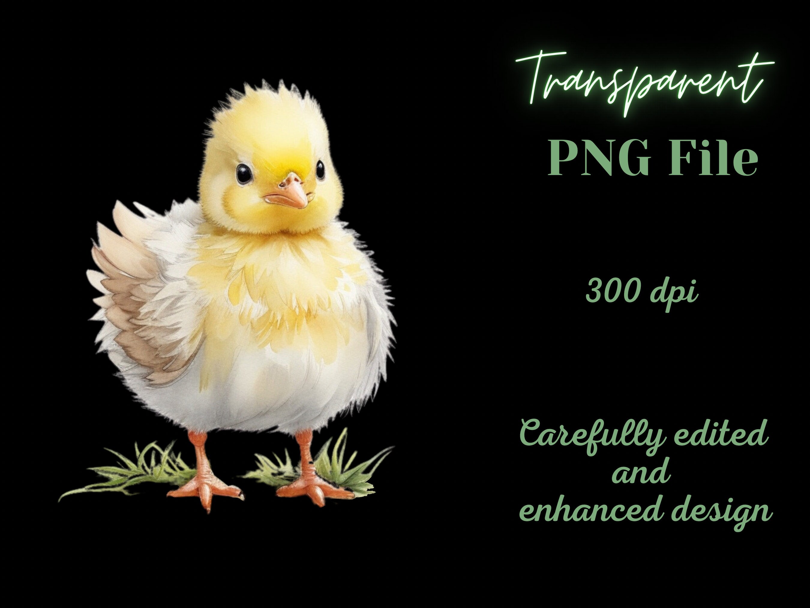 Cute Watercolor Baby Chick PNG. Chicken Lover, Farm Animals Clipart ...
