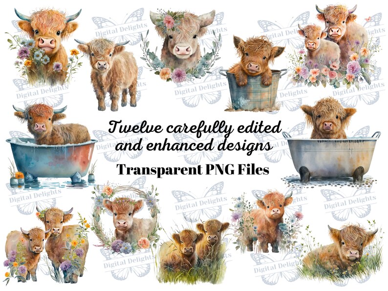 12 Cute Highland Cow PNG Clip Art, Baby Highland Heifer, Baby Shower ...