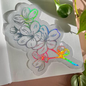 Sonnenfänger Sticker, Sakura, Blume, Fenster Bild, wählbar 3 Varianten, holographisch, Suncatcher Stickers, Kirschblüte Japan, Fensterbilder