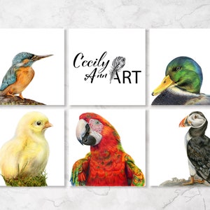 Lot de 5 cartes de voeux, cartes assorties, cartes oiseaux, cadeaux spirituels, cartes spirituelles