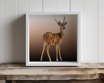 Deer art print, Nursery wall art, animal art, animal prints, 10x10 print