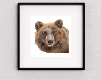 Limitowana edycja wydruku giclée z niedźwiedziem brunatnym, grafika ścienna ze zwierzętami, duchowe zwierzę, kolorowa kredka artystyczna