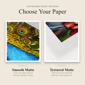 May include: Unframed print options titled Choose Your Paper. Two square samples are shown: Finish 01 Smooth Matte featuring a peacock feather pattern, and Finish 02 Textured Matte showing a close-up of red berries on a white paper surface.