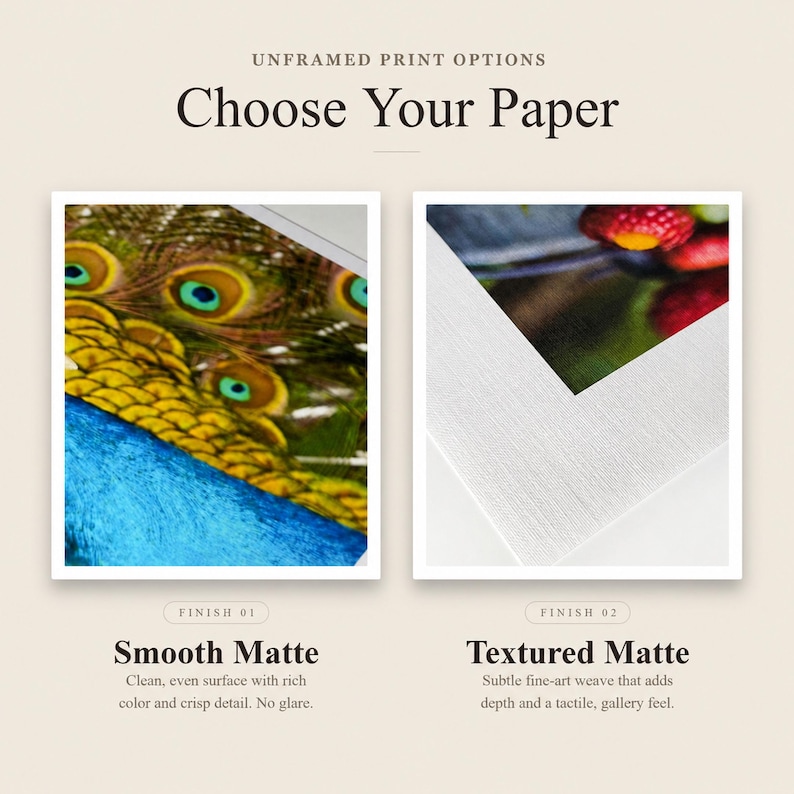 May include: Unframed print options titled Choose Your Paper. Two square samples are shown: Finish 01 Smooth Matte featuring a peacock feather pattern, and Finish 02 Textured Matte showing a close-up of red berries on a white paper surface.