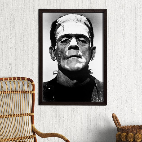 Frankenstein 1931 Poster Etsy