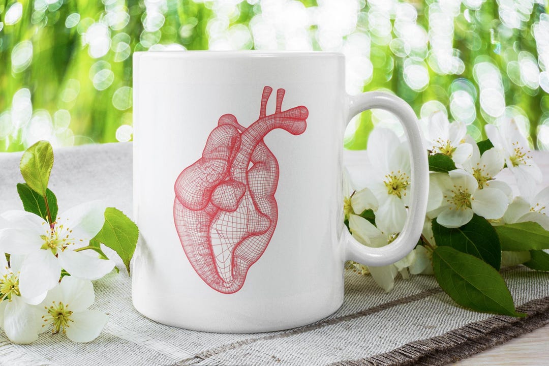 Human Pancreas Mug, Anatomy Gift - Etsy