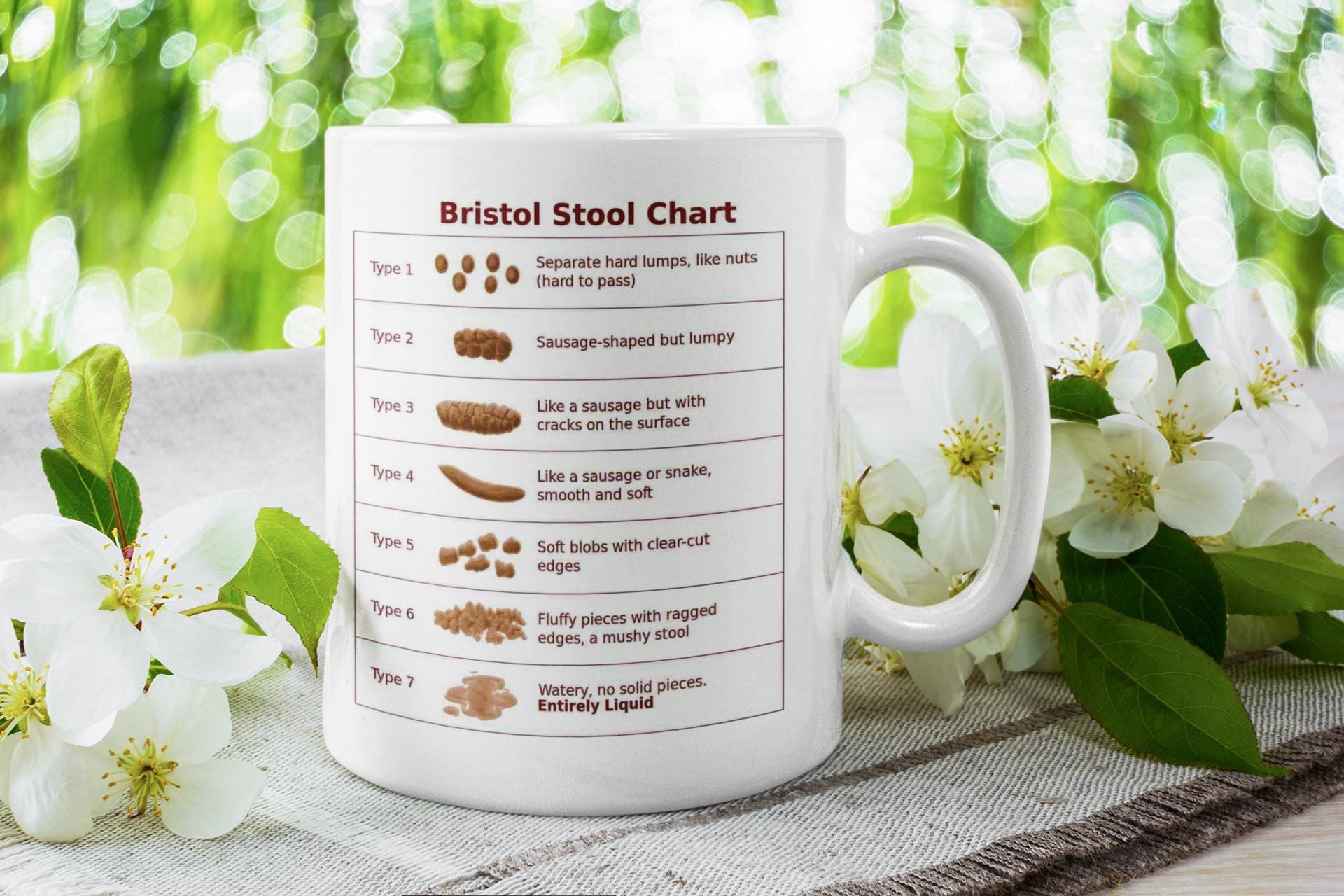 Bristol Stool Chart Mug – Funny Educational 11oz (330ml) Poop Chart  Coffee Cup – Gag Gift for Doctors, Nurses, Medical Students