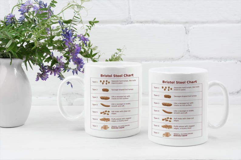 Bristol Stool Chart Mug – Funny & Educational 11oz (330ml) Poop Chart ...