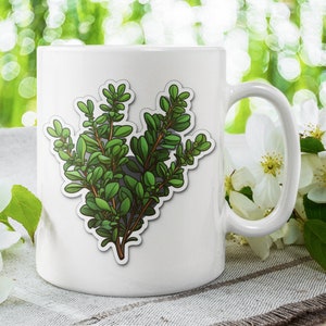Tazza al timo, regalo al timo, regalo al timo, erbe aromatiche, giardino delle erbe aromatiche, regalo per giardiniere