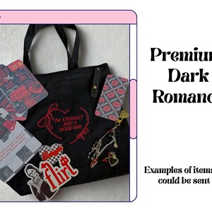 Blind Date With a Kindle Bundle/ kindle insert/kindle accessories/ bookish/ dark romance/ fantasy/ slow burn/ booktok/ bookish merch/refresh image 6
