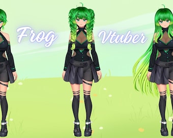 Frog Vtuber ready to use for Vtube Studio full rigged with 3 Hairstyles