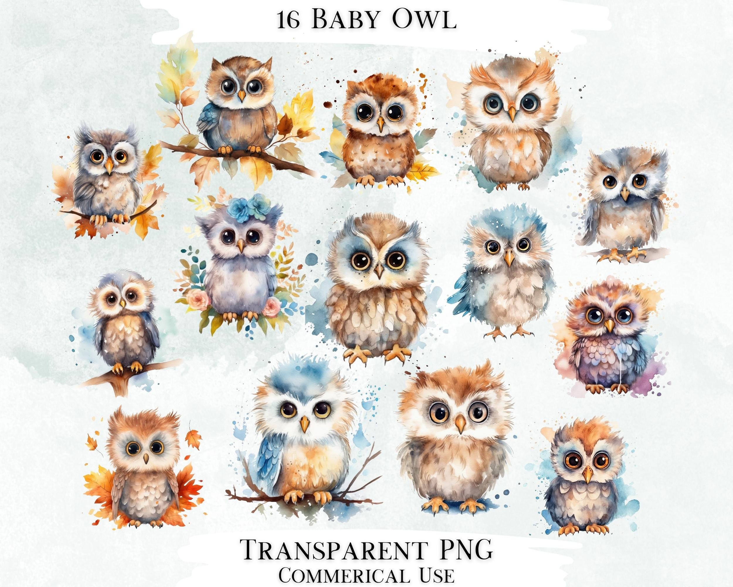 Watercolor Baby Owl Clipart Bundle, Commercial Use (Digital Designs)