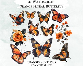 Clipart aquarel oranje bloemen vlinder, 30 png-ontwerpen (digitale ontwerpen)