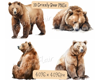 Grizzly Bear Watercolor Clipart Bundle, PNG Designs (Digital Designs)