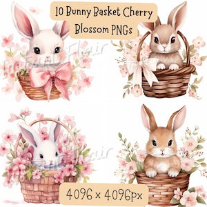 Hasenkorb Kirschblüte Aquarell Clip Art Bundle, PNG Designs, dekorative Bilder, digitale Designs für kommerzielle Nutzung