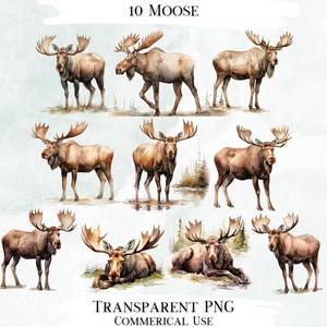 Moose Watercolor Clip Art Bundle, PNG Designs, Decorative Images, Digital Designs for Commercial Use