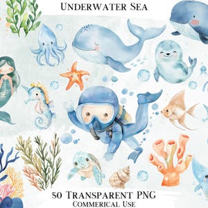 Underwater Sea Clip Art-bundel, 50 transparante png-ontwerpen, decoratieve afbeeldingen, digitale ontwerpen voor commercieel gebruik