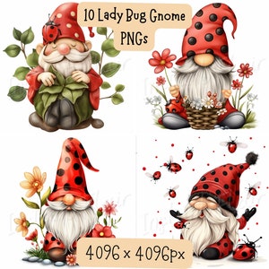 Pacchetto di clipart di gnomi coccinella, disegni PNG, immagini decorative, disegni digitali per uso commerciale