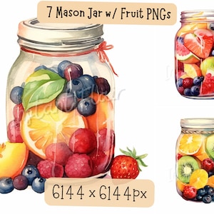 Mason Jar w/fruit Clip Art-bundel, 7 grafische PNG-ontwerpen, gedroogde glazen fruit decoratieve afbeeldingen, digitale ontwerpen voor commercieel gebruik