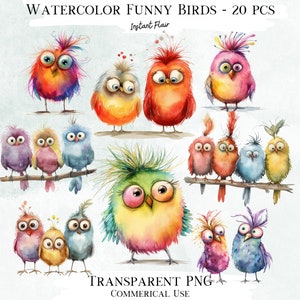 Paquete de imágenes prediseñadas de pájaros divertidos, 20 gráficos PNG transparentes, imágenes decorativas y gráficos digitales para uso comercial