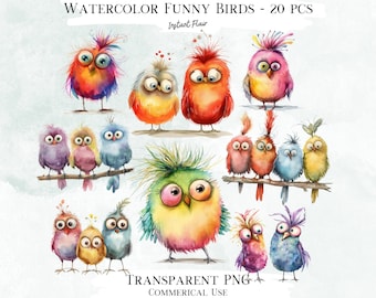 Aquarell lustige Vögel Clip Art, 20 PNG Grafiken (Digitaler Download)
