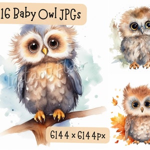Baby Eule Clip Art Bundle, 16 JPG Designs, Aquarell Süß Artsy Owlett Outdoorsy Dekorative Bilder Digitale Designs für den kommerziellen Gebrauch