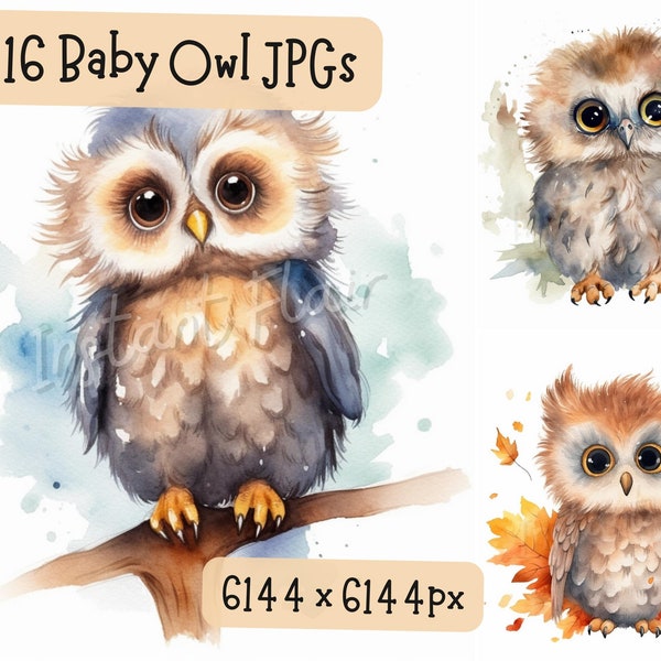 Baby Owl Clip Art Bundle, 16 JPG Designs, Watercolor Cute Artsy Owlett Outdoorsy Decorative Images Digital Designs for Commercial Use