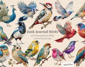 Junk Journal Birds Clipart Bundle, Vintage Bird Graphics PNG (Digital Download)