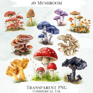 Bundle d'art clip aquarelle champignon, dessins PNG transparents, images décoratives, conceptions numériques à usage commercial