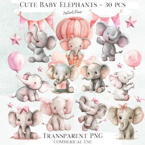 Süßer Elefant-Clip-Art-Bundle, 30 transparente PNG-Grafiken, dekorative Bilder, digitale Grafiken für den kommerziellen Gebrauch