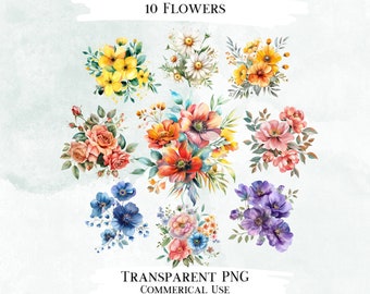 Watercolor Flower Clip Art Bundle, 10 PNG Designs (Digital Designs)