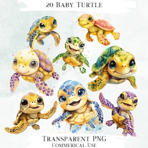 Babyschildpad-clipartbundel, 20 transparante png-ontwerpen, decoratieve afbeeldingen, digitale ontwerpen voor commercieel gebruik