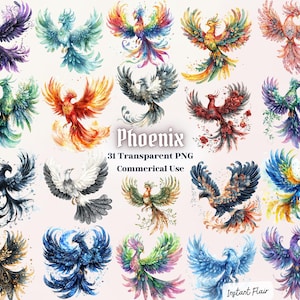 Éblouissant Phoenix Clipart – 31 éléments – téléchargement numérique PNG