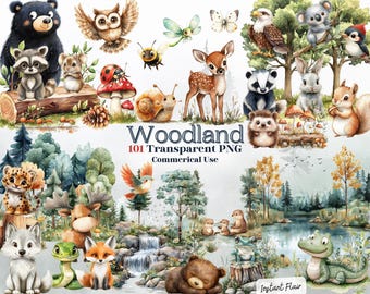 May include: A set of 101 watercolor woodland animal illustrations, including a deer, raccoon, owl, squirrel, snake, bear, frog, badger, and more. The illustrations are perfect for creating invitations, cards, scrapbook pages, and other crafts.