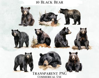 Black Bear Watercolor Clipart Bundle, PNG Graphics (Digital Designs)