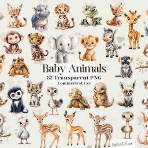 35 cliparts bébé animal - PNG transparents - usage commercial - téléchargement immédiat