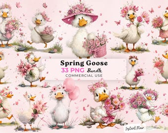 Spring Goose Clipart Bundle, Watercolor PNG Graphics (Digital Download)