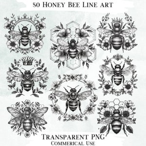 Honey Bee Line Art Clip Art Bundle, 50 przezroczystych grafik PNG, obrazy dekoracyjne, grafika cyfrowa do użytku komercyjnego