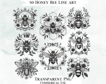 Honey Bee Line Art Clip Art Bundle, 50 PNG Graphics (Commercial Use)