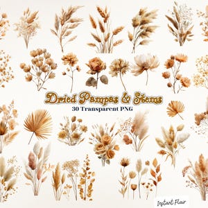 30 Dried Pampas & Stems Clipart – Neutral Boho Floral PNG Bundle for Decor Crafts